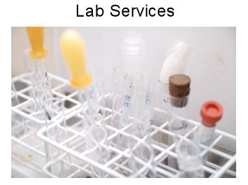 Lab Services